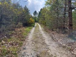 Sur le GR 31