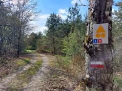 Sur le GR 31
