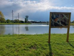 Plan d'eau du parc de loisirs