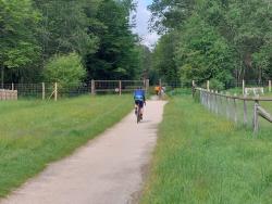 Piste vélos vers l'étang de la Faisanderie