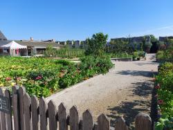 Jardins-potagers