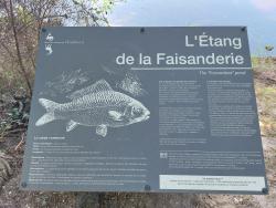  l'étang de la Faisanderie
