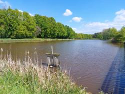 Ménestreau en Villette, étang