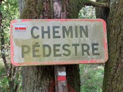 Sur le GR