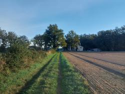 Chemin herbeux