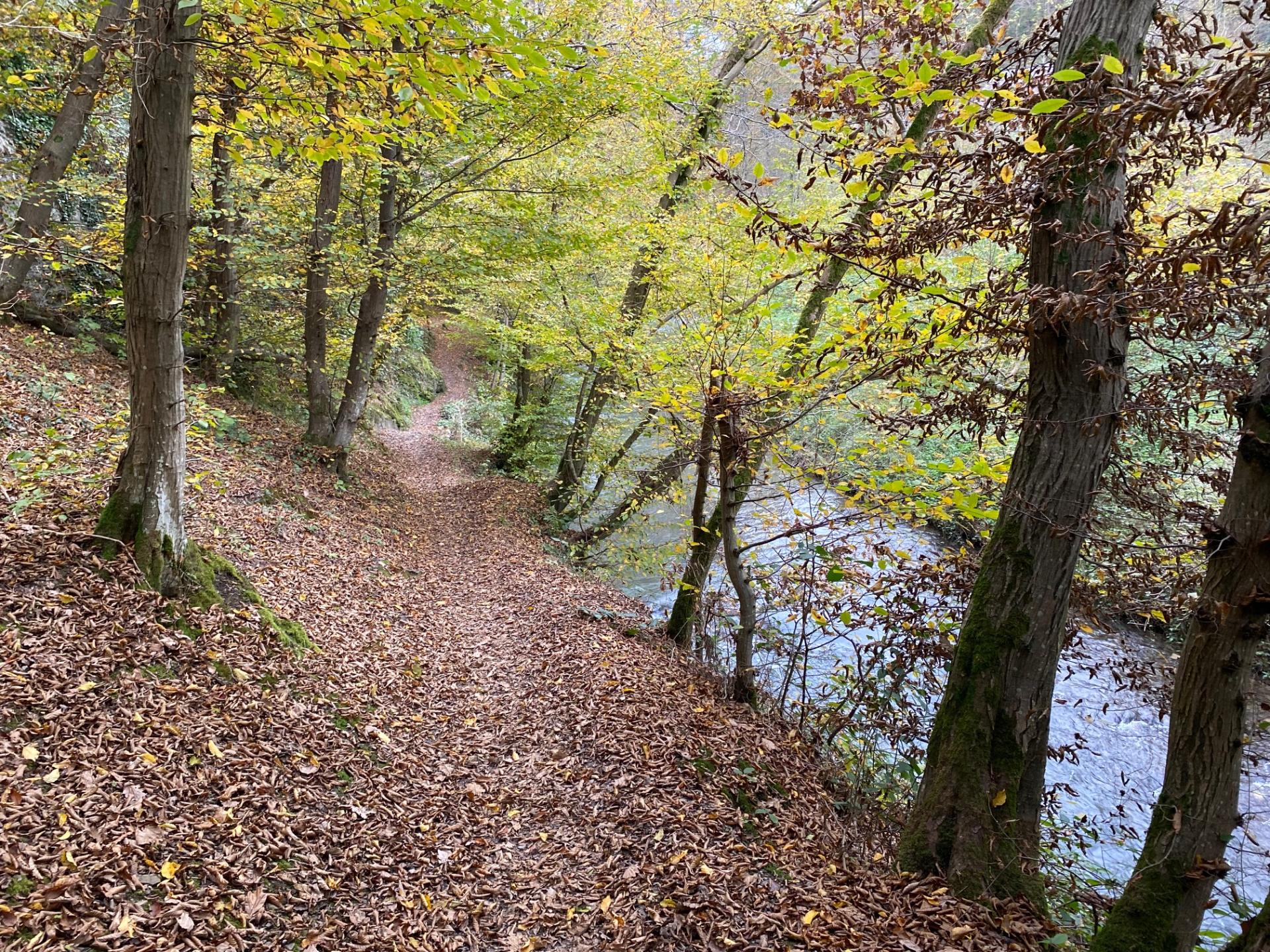 Entre les deux vallées du Bocq et de la Meuse