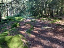 Vers la Grande Borne