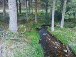 Ruisseau Le Sapey