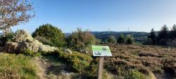 Tourbières de La Verrerie, Roc du Vacher