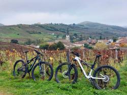 Vignoble et vue sur Le Perréon au départ