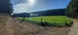 Le brouillard se lève