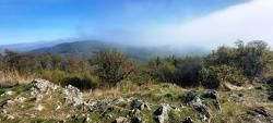 Paysage dans le brouillard