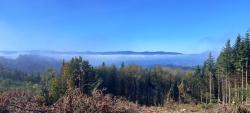 Paysage dans le brouillard