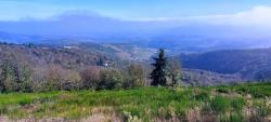Paysage dans le brouillard