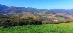 Paysage des Monts du Beaujolais