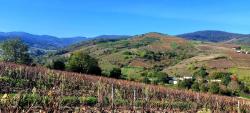 Paysage des Monts du Beaujolais