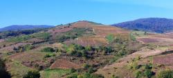 Paysage des Monts du Beaujolais