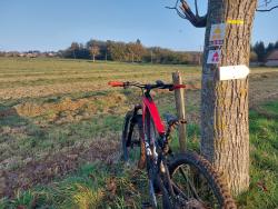 Circuits Base FFCT VTT/Gravel