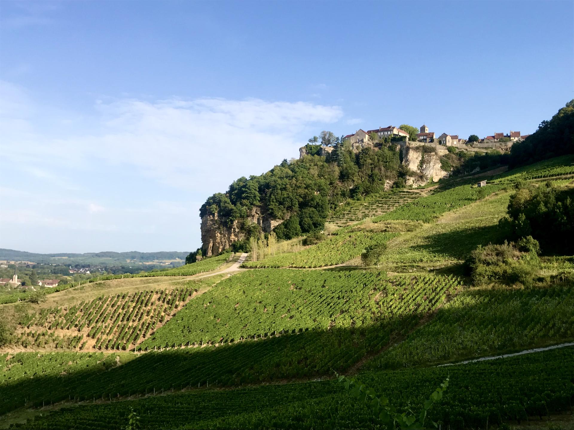 Briod - Château-Chalon