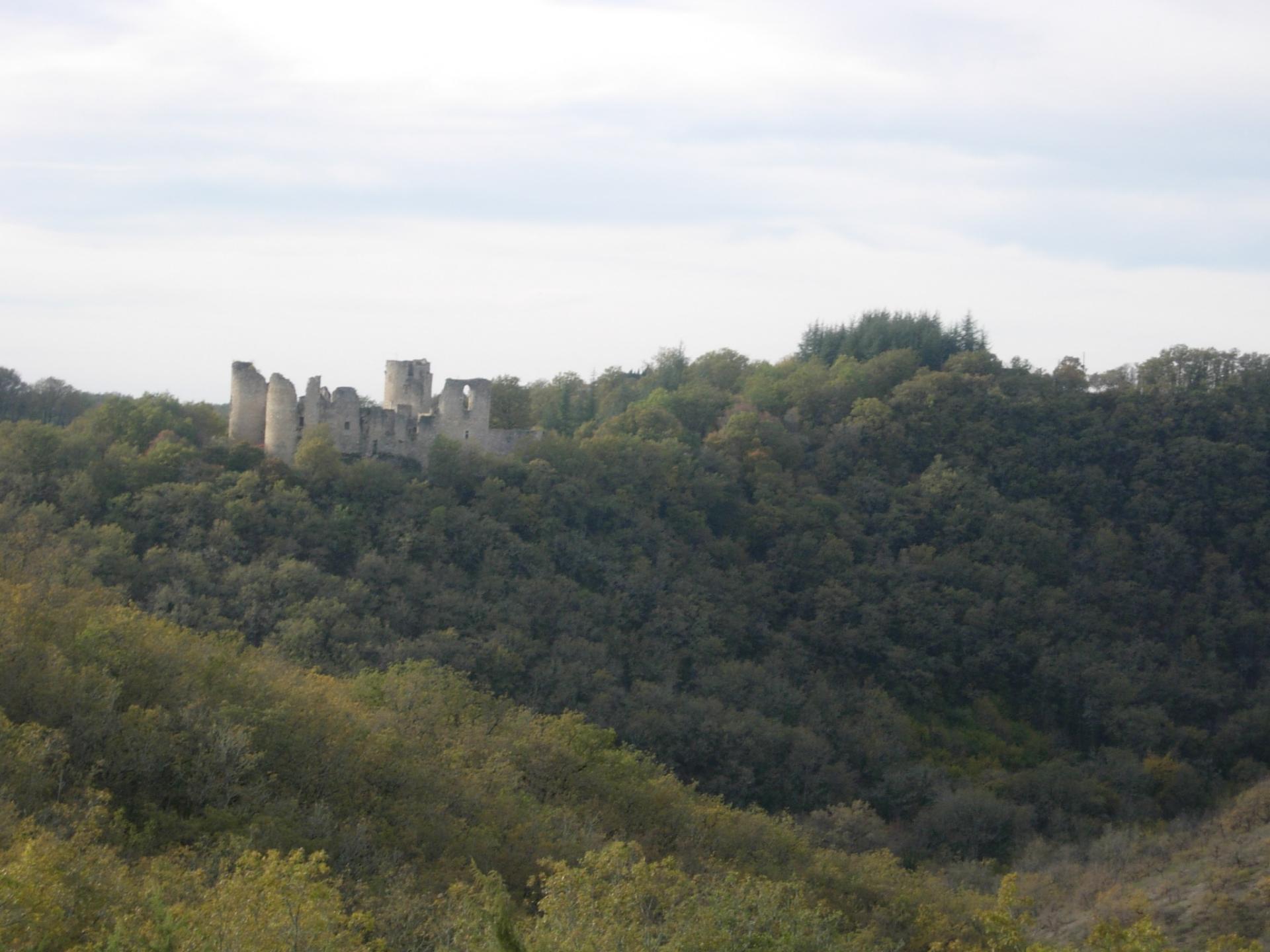 Saint-Pierre-Lafeuille - Bellefont