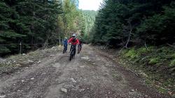 VTT-42002