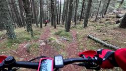 VTT-42003