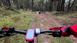 VTT-42004