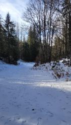 VTT-42015