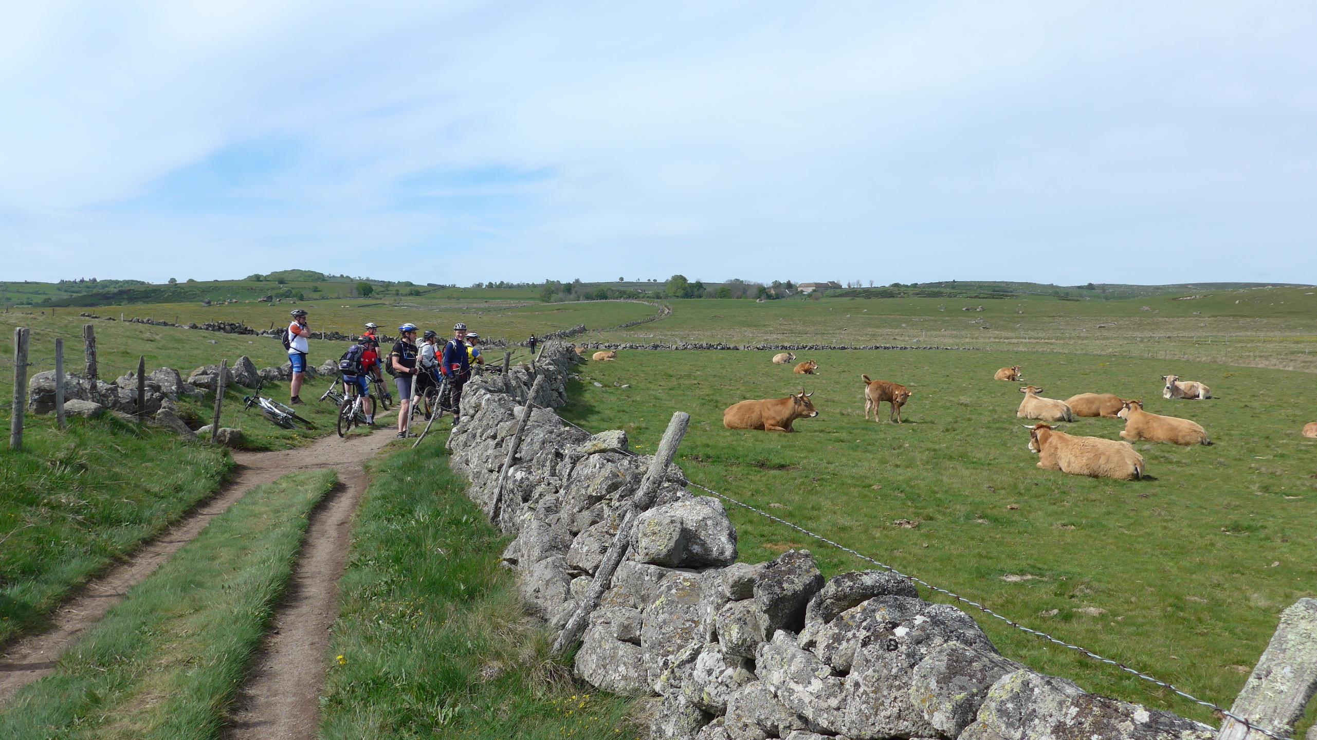 Chemin de Saint-Guilhem - Etape 2/6 : Saint-Chély-d’Aubrac - La Canourgue