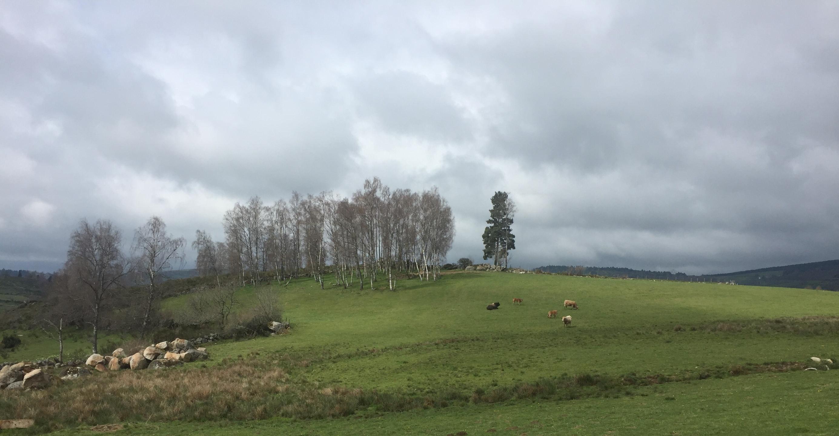 Tour Aubrac - Margeride - Etape 3/6 : Saint-Urcize - Aumont-Aubrac