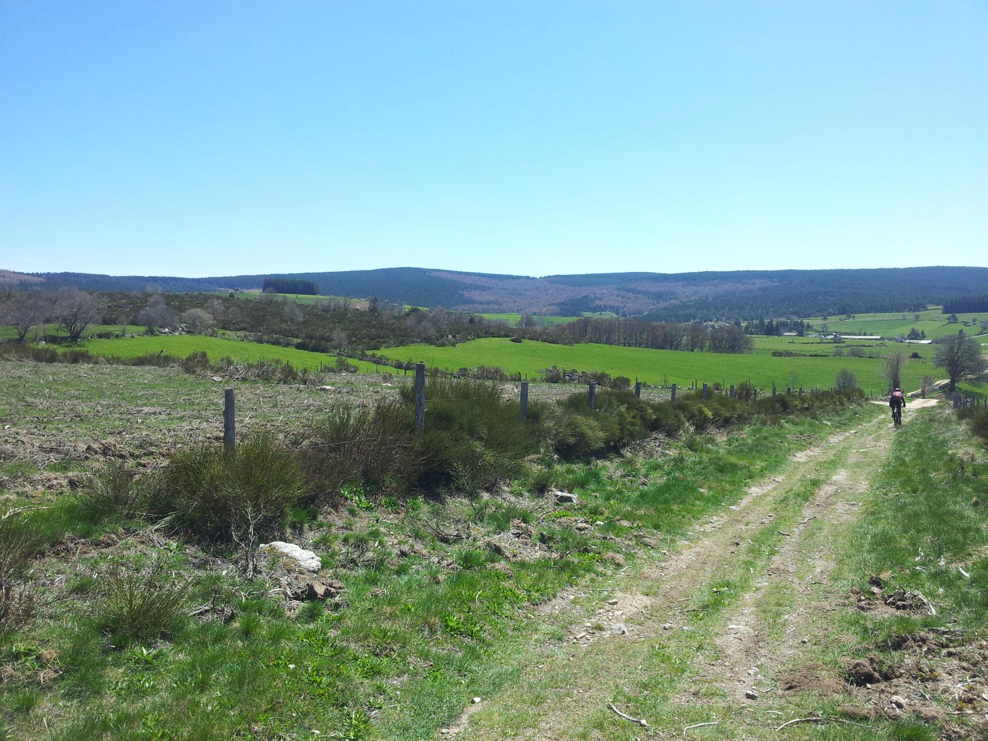 Tour Aubrac - Margeride - Etape 4/6 : Aumont-Aubrac - Grandrieu 
