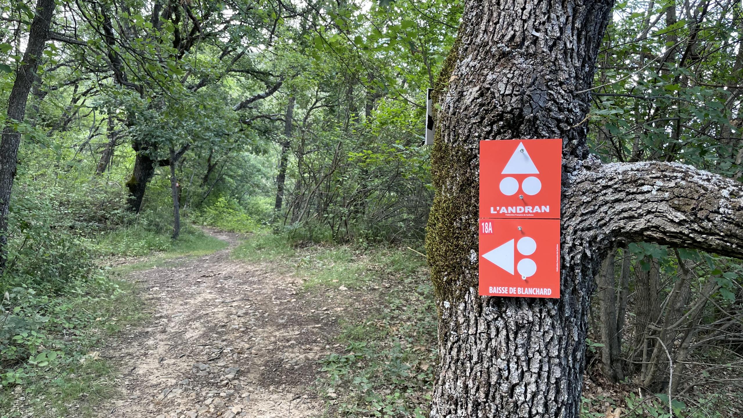 Domaine VTT Provence-Alpes, secteur Digne-les-Bains - Circuit N°18A : Enduro Baisse de Blanchard