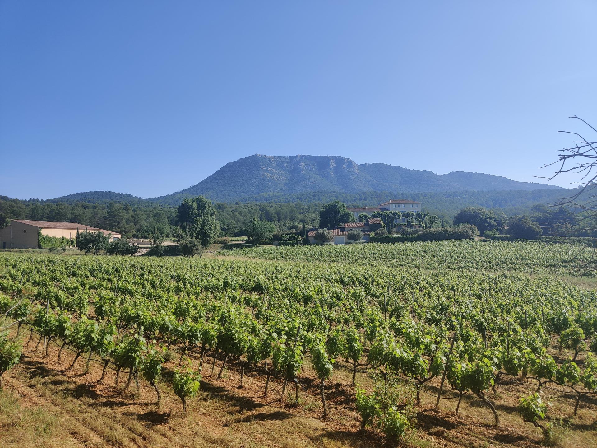Montée du Gros Bessillon