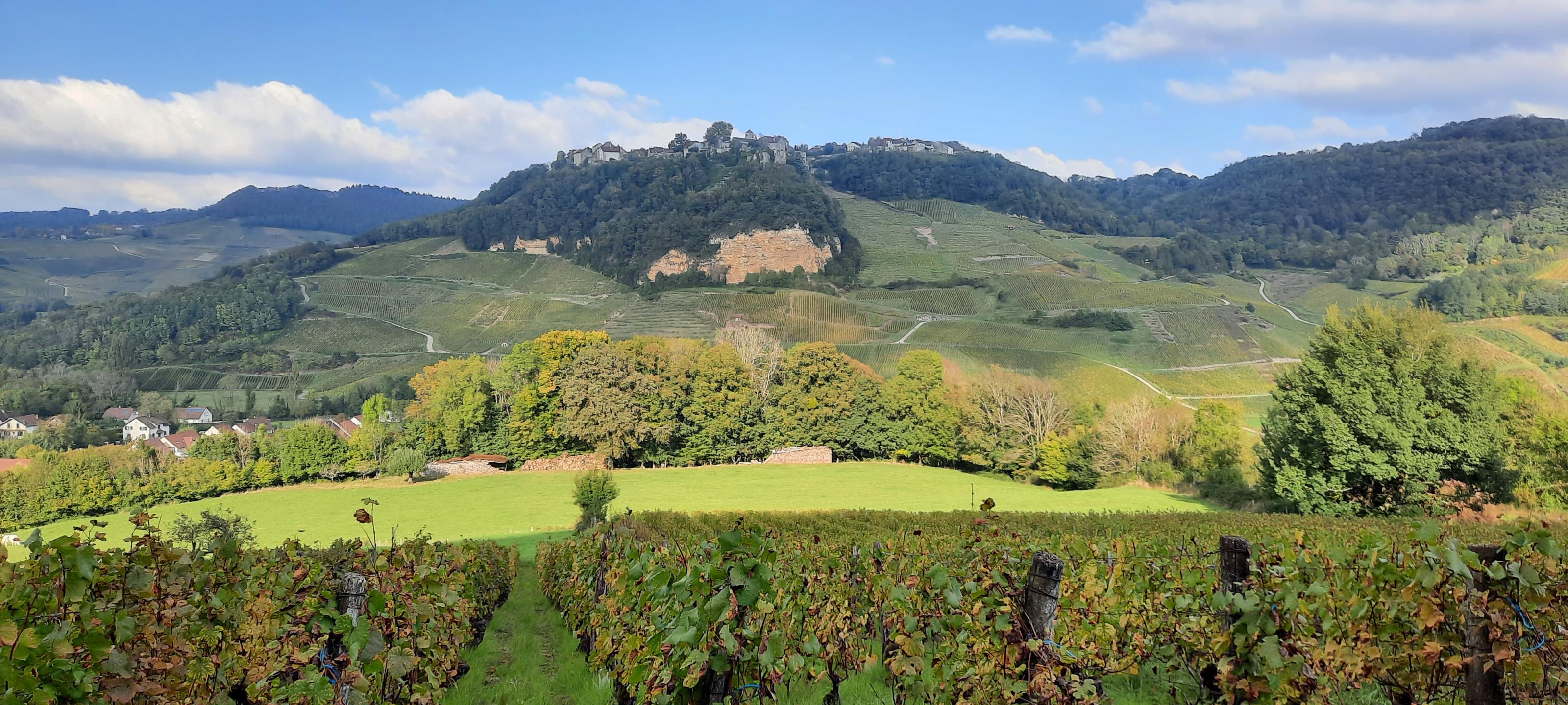 Du plateau au vignoble