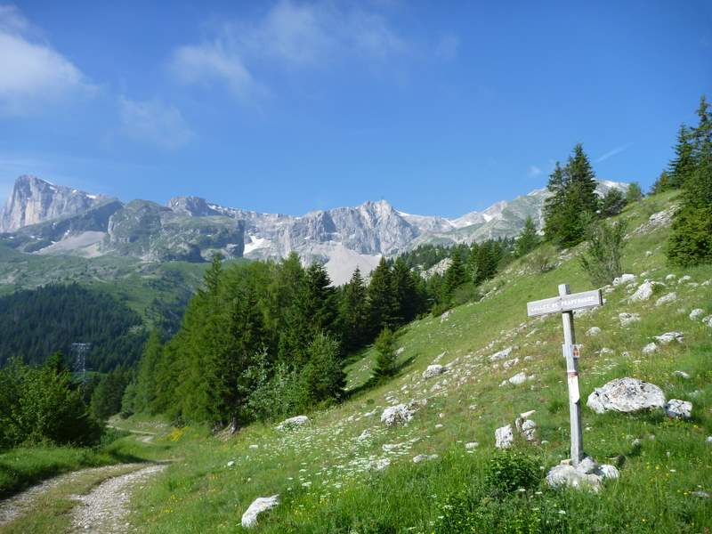 Eterlou 2010 - 50 km