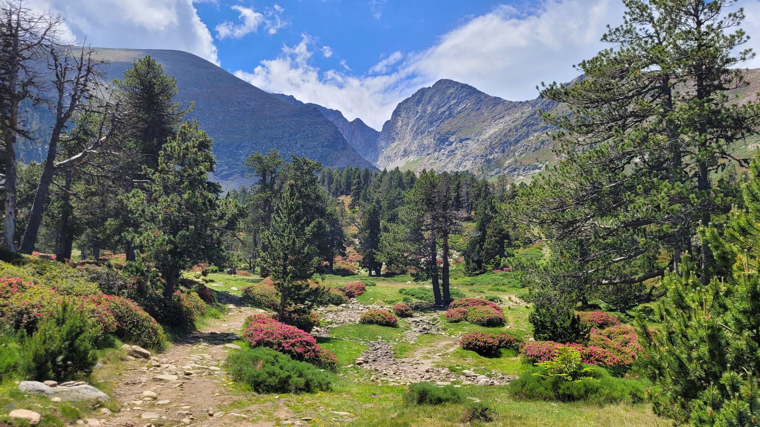 Massif du Canigou