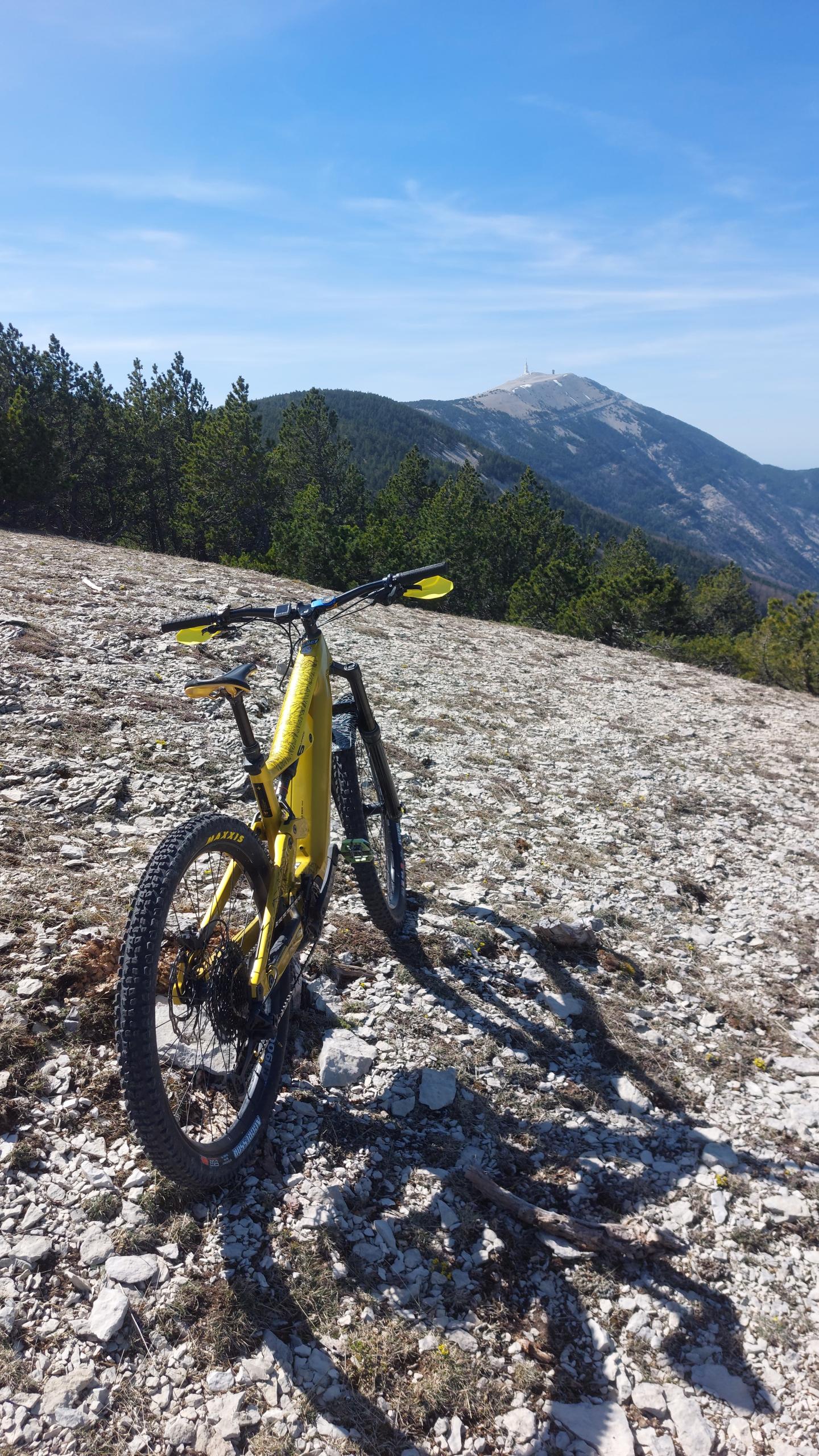 Forêt domaniale du Ventouret