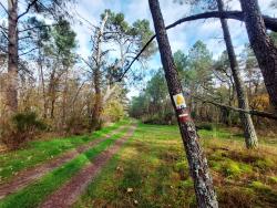 Sur le GR 31 et  VTT N° 2 et 3 Base VTT-FFCT Salbris O.T