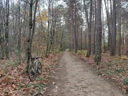 Vers Center Parcs