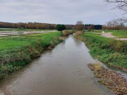 Rivière le Beuvron