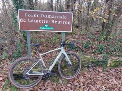 Forêt Domaniale de Lamotte-Beuvron, Bois de Saint Maurice