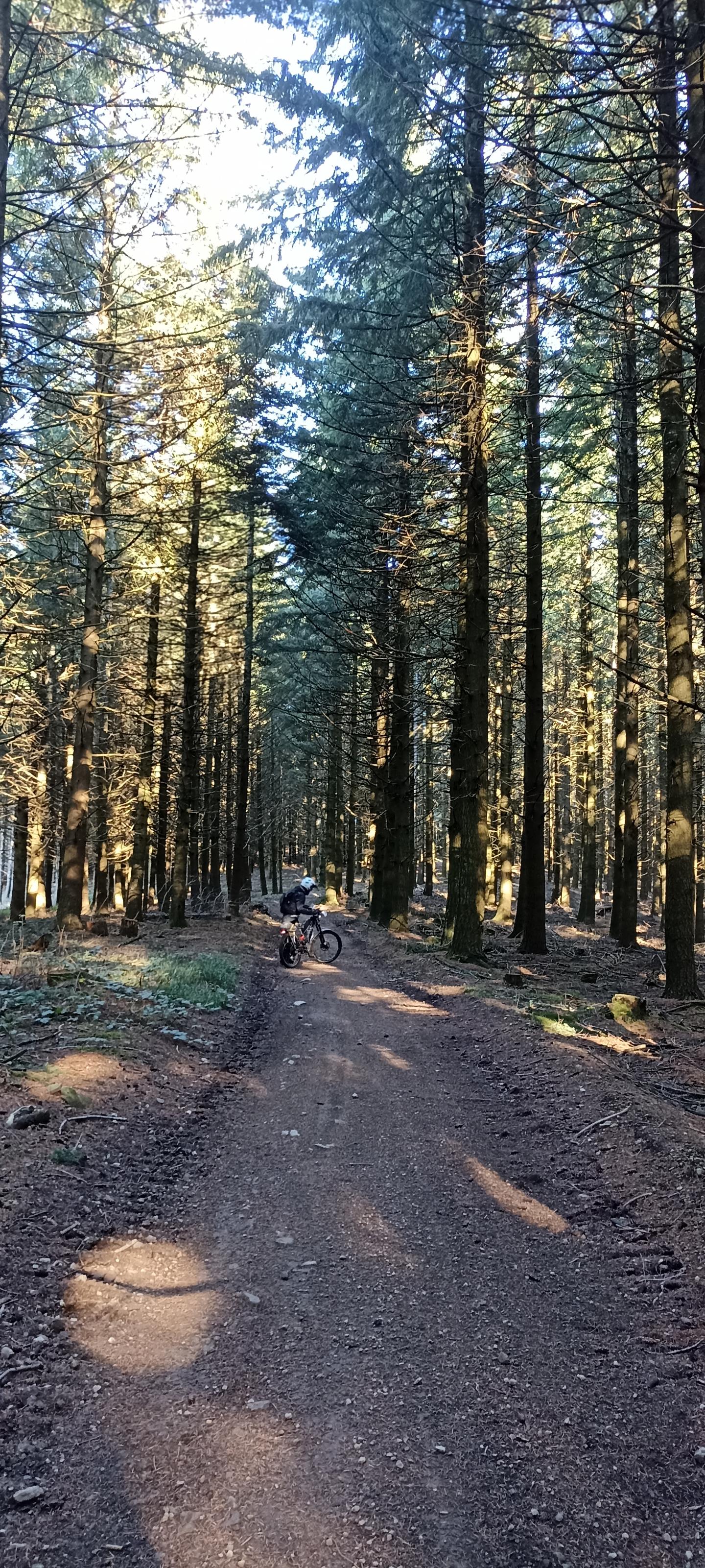 Des Montagnes du Matin aux Hauts de Tarare