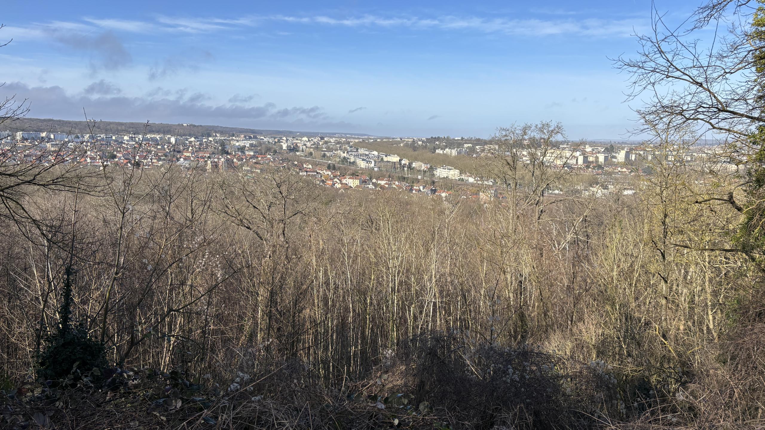Dans le bois autour de Chaville, Viroflay et Vélizy