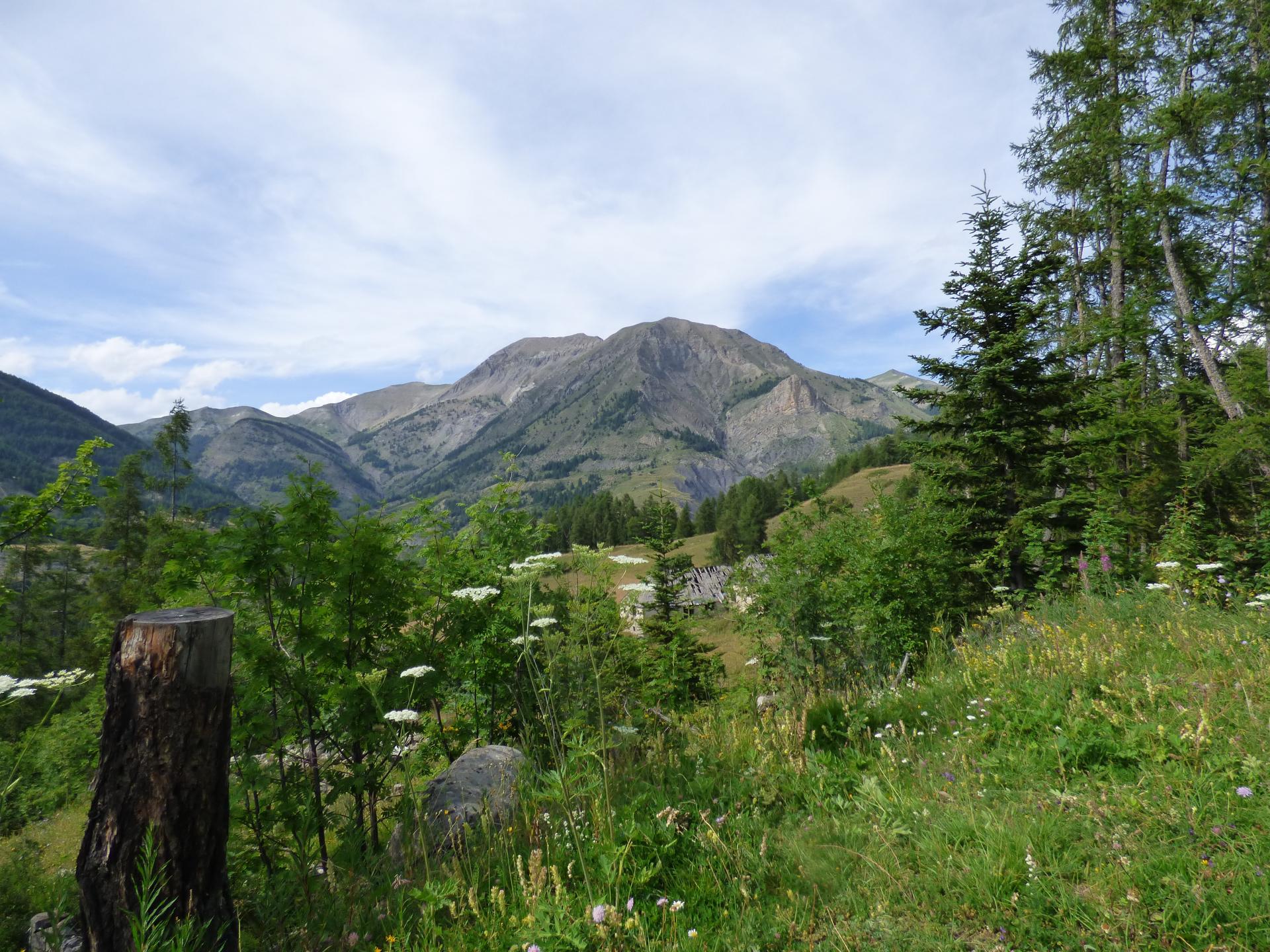 Espace Val d'Allos - Vacheresse - VTT AE