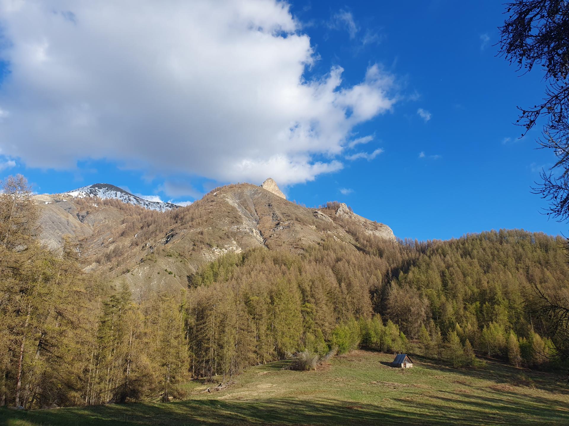 Espace Val d'Allos - L'Herbe Blanche - VTT AE