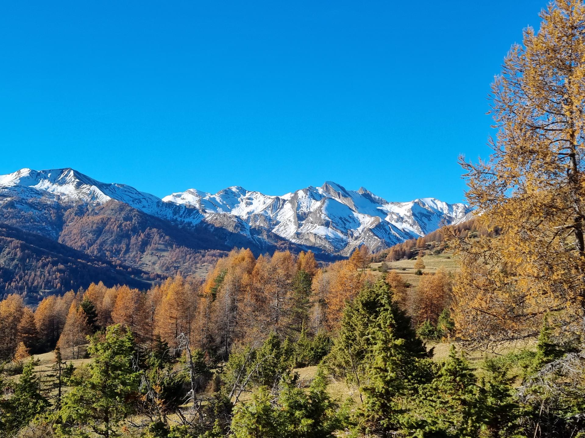 Espace Val d'Allos - Montgros - VTT AE