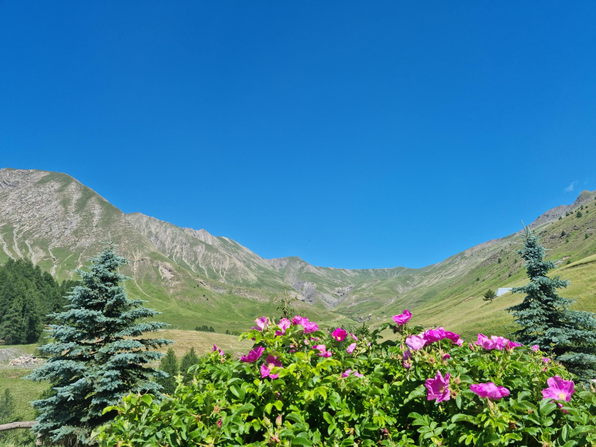 Espace Val d'Allos - Les sources - VTT AE