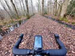 Chemin forestier avec fossés gorgés d'eau
