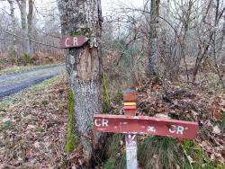 Chemin Rural (C.R)