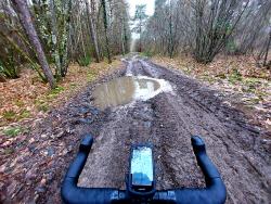 Chemin forestier boueux